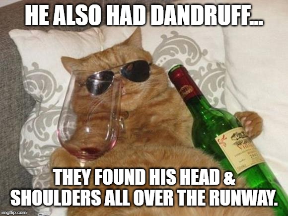 Funny Cat Birthday | HE ALSO HAD DANDRUFF... THEY FOUND HIS HEAD & SHOULDERS ALL OVER THE RUNWAY. | image tagged in funny cat birthday | made w/ Imgflip meme maker