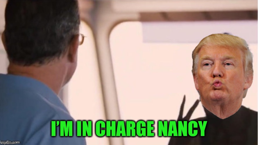 Trump Captain | I’M IN CHARGE NANCY | image tagged in trump captain | made w/ Imgflip meme maker