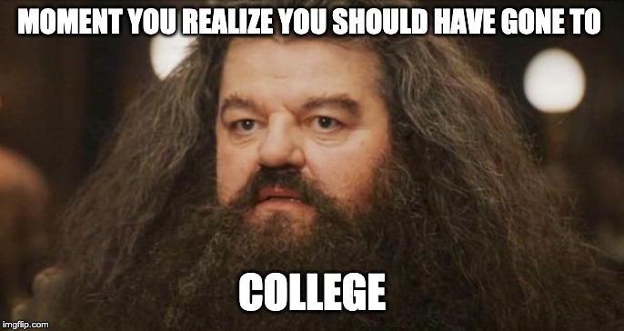 Hagrid | MOMENT YOU REALIZE YOU SHOULD HAVE GONE TO; COLLEGE | image tagged in hagrid | made w/ Imgflip meme maker