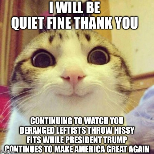 Smiling Cat Meme | I WILL BE QUIET FINE THANK YOU CONTINUING TO WATCH YOU DERANGED LEFTISTS THROW HISSY FITS WHILE PRESIDENT TRUMP CONTINUES TO MAKE AMERICA GR | image tagged in memes,smiling cat | made w/ Imgflip meme maker