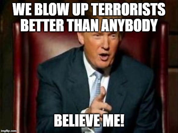 Donald Trump | WE BLOW UP TERRORISTS BETTER THAN ANYBODY BELIEVE ME! | image tagged in donald trump | made w/ Imgflip meme maker