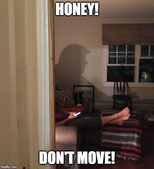 Sat on the couch with an ice pack on my head after injury when gf told me not to move | HONEY! DON'T MOVE! | image tagged in memes,funny memes,donald trump,donald trump hair,shadows,trump | made w/ Imgflip meme maker