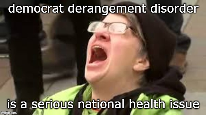 never trust a liberal or r.i.n.o. DDD | democrat derangement disorder; is a serious national health issue | image tagged in screaming liberal,unacceptable,tripple d,meme 20,mental illness | made w/ Imgflip meme maker