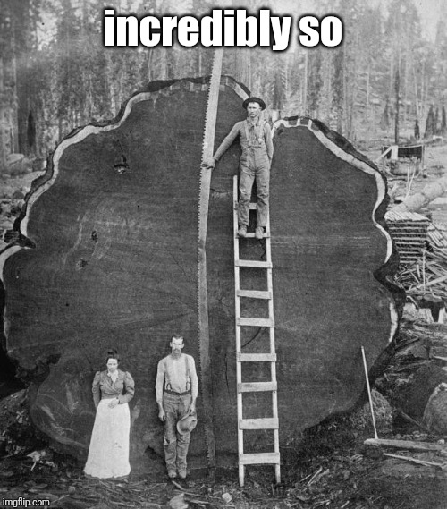 redwood logger | incredibly so | image tagged in redwood logger | made w/ Imgflip meme maker