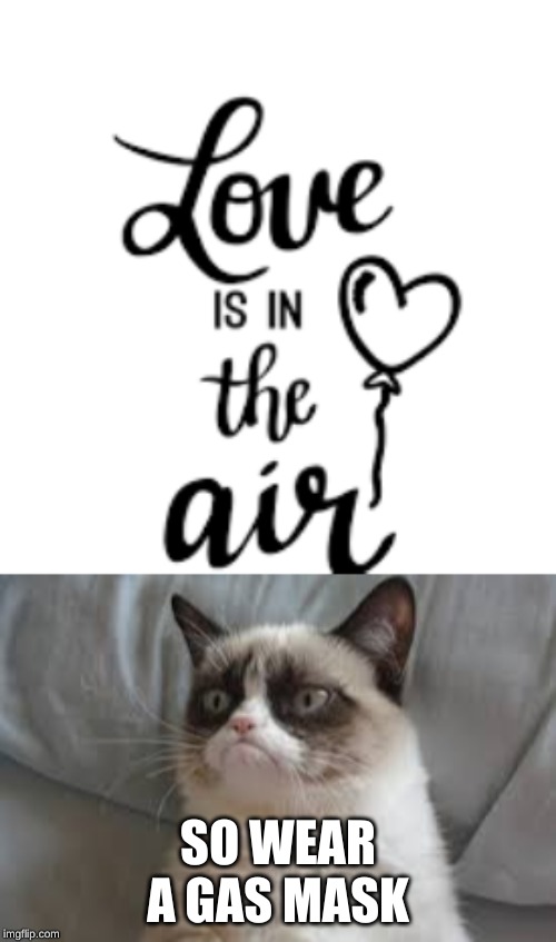 SO WEAR A GAS MASK | image tagged in grumpy cat | made w/ Imgflip meme maker