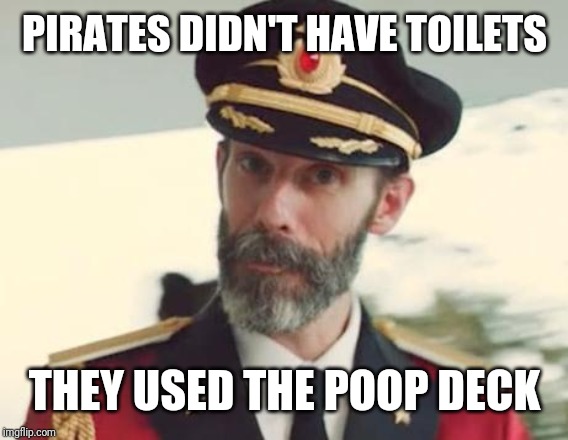 Captain Obvious | PIRATES DIDN'T HAVE TOILETS THEY USED THE POOP DECK | image tagged in captain obvious | made w/ Imgflip meme maker