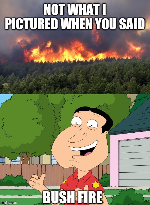 Meanwhile in Australia | NOT WHAT I PICTURED WHEN YOU SAID; BUSH FIRE | image tagged in quagmire family guy,forest fire,meanwhile in australia | made w/ Imgflip meme maker