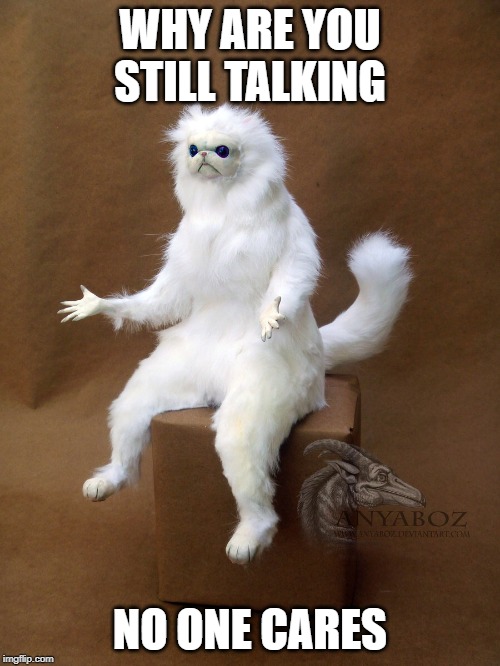 Persian Cat Room Guardian Single | WHY ARE YOU STILL TALKING; NO ONE CARES | image tagged in memes,persian cat room guardian single | made w/ Imgflip meme maker