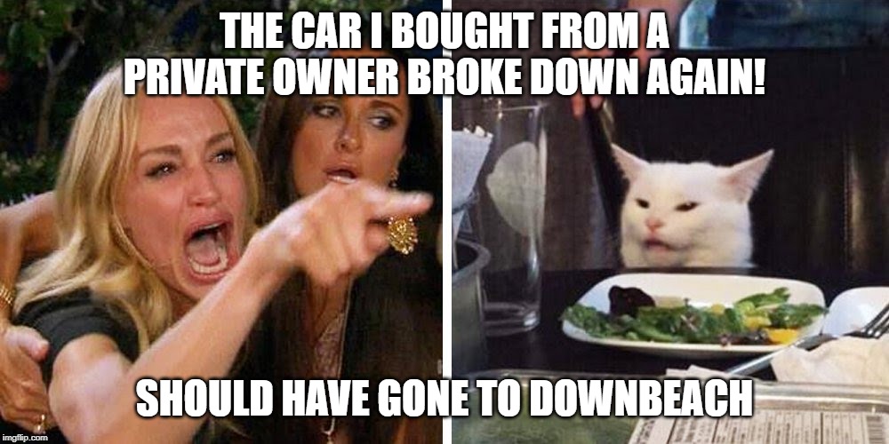 Smudge the cat | THE CAR I BOUGHT FROM A PRIVATE OWNER BROKE DOWN AGAIN! SHOULD HAVE GONE TO DOWNBEACH | image tagged in smudge the cat | made w/ Imgflip meme maker