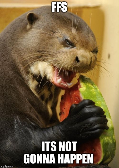 Self Loathing Otter Meme | FFS ITS NOT GONNA HAPPEN | image tagged in memes,self loathing otter | made w/ Imgflip meme maker