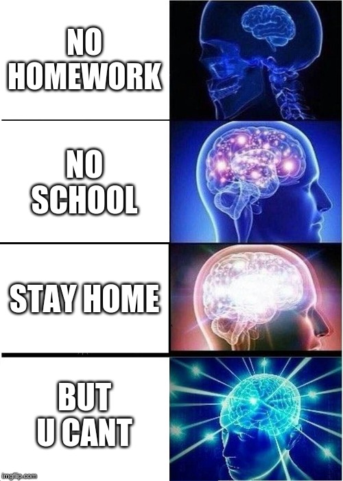 Expanding Brain Meme | NO HOMEWORK; NO SCHOOL; STAY HOME; BUT U CANT | image tagged in memes,expanding brain | made w/ Imgflip meme maker