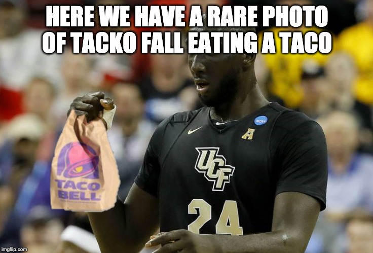 Tacko Bell | HERE WE HAVE A RARE PHOTO OF TACKO FALL EATING A TACO | image tagged in tacko bell | made w/ Imgflip meme maker