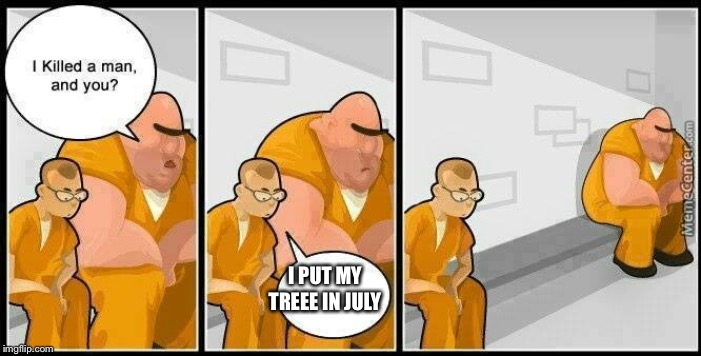 prisoners blank | I PUT MY TREEE IN JULY | image tagged in prisoners blank | made w/ Imgflip meme maker