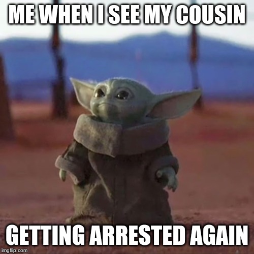 Baby Yoda | ME WHEN I SEE MY COUSIN; GETTING ARRESTED AGAIN | image tagged in baby yoda | made w/ Imgflip meme maker