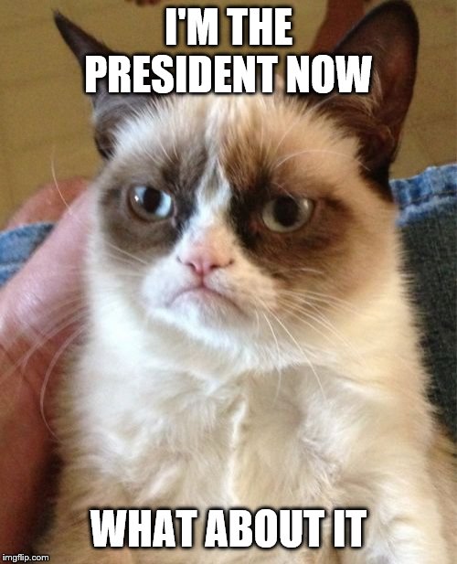 Grumpy Cat Meme | I'M THE PRESIDENT NOW; WHAT ABOUT IT | image tagged in memes,grumpy cat | made w/ Imgflip meme maker
