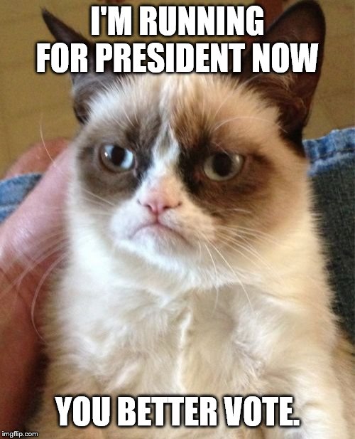 Grumpy Cat Meme | I'M RUNNING FOR PRESIDENT NOW; YOU BETTER VOTE. | image tagged in memes,grumpy cat | made w/ Imgflip meme maker