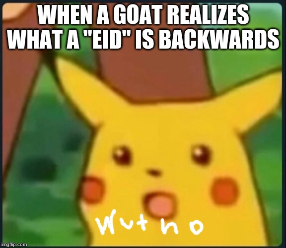 Surprised Pikachu | WHEN A GOAT REALIZES WHAT A "EID" IS BACKWARDS | image tagged in surprised pikachu | made w/ Imgflip meme maker