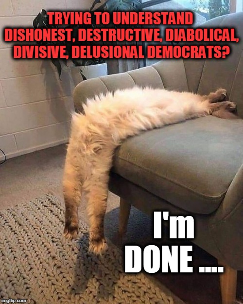 You can't fix stupid. There's not a pill you can take or a class you can go to. | TRYING TO UNDERSTAND 
DISHONEST, DESTRUCTIVE, DIABOLICAL, DIVISIVE, DELUSIONAL DEMOCRATS? I'm DONE .... | image tagged in politics,political meme,political humor,politics lol,political parties,political | made w/ Imgflip meme maker