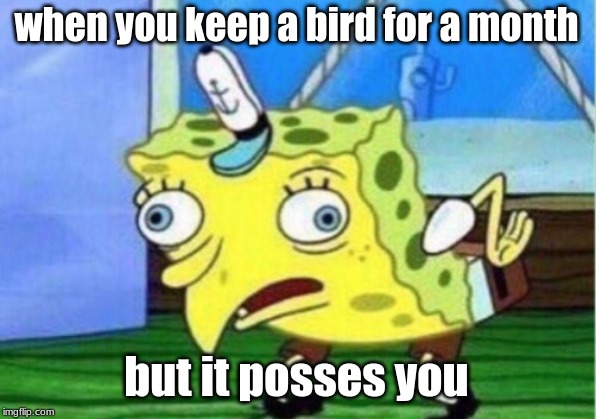 when you keep a bird for a month but it posses you | image tagged in memes,mocking spongebob | made w/ Imgflip meme maker