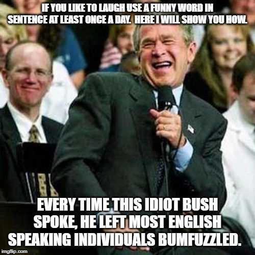 Bush thinks its funny | IF YOU LIKE TO LAUGH USE A FUNNY WORD IN SENTENCE AT LEAST ONCE A DAY.  HERE I WILL SHOW YOU HOW. EVERY TIME THIS IDIOT BUSH SPOKE, HE LEFT MOST ENGLISH SPEAKING INDIVIDUALS BUMFUZZLED. | image tagged in bush thinks its funny | made w/ Imgflip meme maker