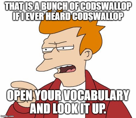Let Me Tell You Why That's Bullshit - Fry | THAT IS A BUNCH OF CODSWALLOP IF I EVER HEARD CODSWALLOP; OPEN YOUR VOCABULARY AND LOOK IT UP. | image tagged in let me tell you why that's bullshit - fry | made w/ Imgflip meme maker