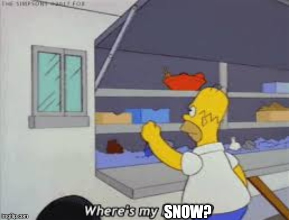 Homer where’s my burrito | SNOW? | image tagged in homer wheres my burrito | made w/ Imgflip meme maker