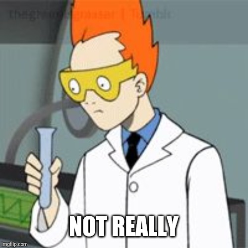 Steve | NOT REALLY | image tagged in steve | made w/ Imgflip meme maker