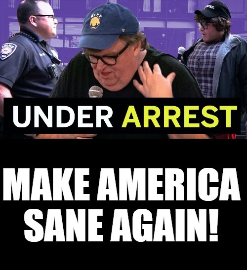 Make America Sane Again! | image tagged in michael moore for gitmo,michael moore,stupid liberals,treason,traitor,hangman | made w/ Imgflip meme maker