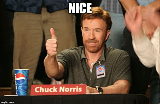Chuck Norris Approves Meme | NICE | image tagged in memes,chuck norris approves,chuck norris | made w/ Imgflip meme maker