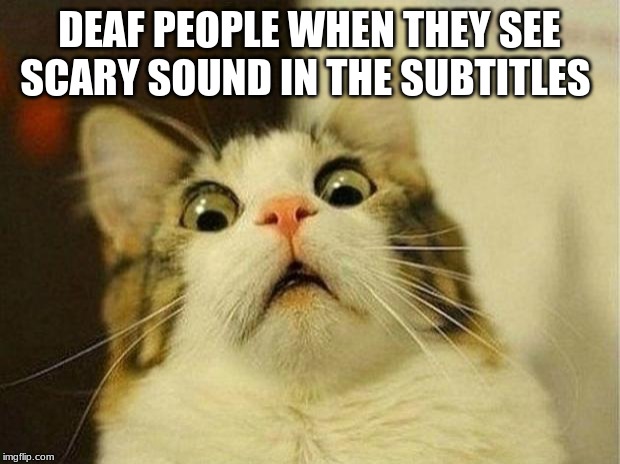 Scared Cat Meme | DEAF PEOPLE WHEN THEY SEE SCARY SOUND IN THE SUBTITLES | image tagged in memes,scared cat | made w/ Imgflip meme maker