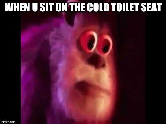 Sully Groan | WHEN U SIT ON THE COLD TOILET SEAT | image tagged in sully groan | made w/ Imgflip meme maker