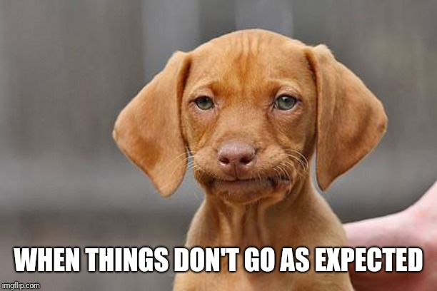 Dissapointed puppy | WHEN THINGS DON'T GO AS EXPECTED | image tagged in dissapointed puppy | made w/ Imgflip meme maker