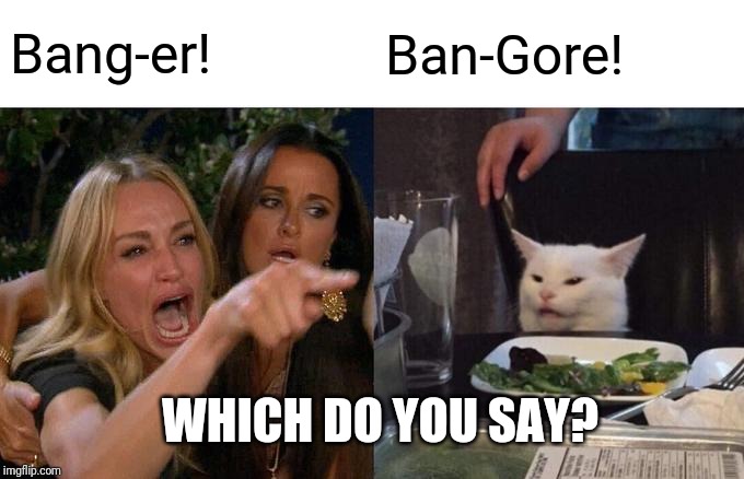 Woman Yelling At Cat | Bang-er! Ban-Gore! WHICH DO YOU SAY? | image tagged in memes,woman yelling at cat | made w/ Imgflip meme maker