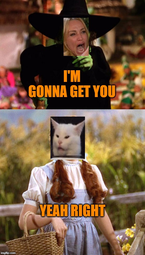 I'M GONNA GET YOU; YEAH RIGHT | image tagged in wicked witch,dorthy | made w/ Imgflip meme maker