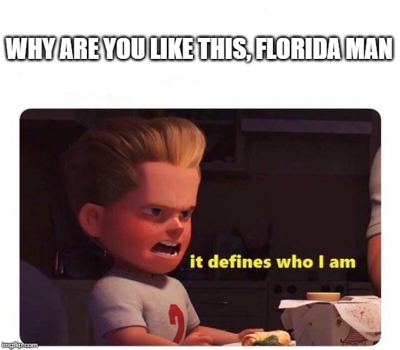 It defines who I am | WHY ARE YOU LIKE THIS, FLORIDA MAN | image tagged in it defines who i am | made w/ Imgflip meme maker