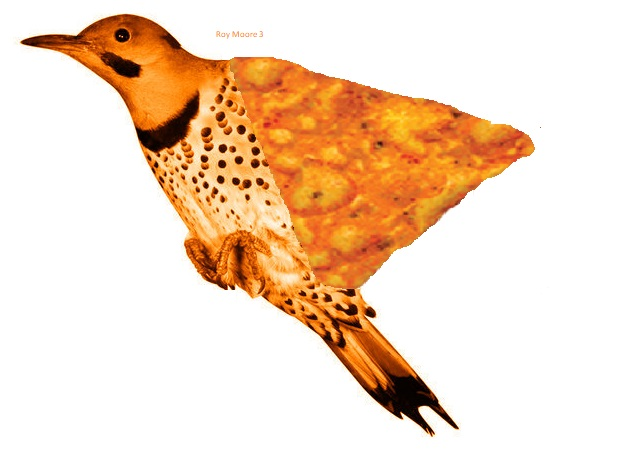 Dorito Bird Blank Meme Template