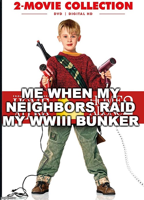 (People who raid bunkers in WW3) | ME WHEN MY NEIGHBORS RAID MY WWIII BUNKER | image tagged in home alone,ww3,fallout shelter | made w/ Imgflip meme maker