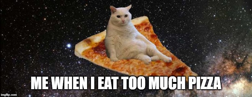 Pizza Cat | ME WHEN I EAT TOO MUCH PIZZA | image tagged in pizza cat | made w/ Imgflip meme maker