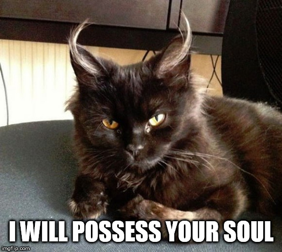 Satan cat | I WILL POSSESS YOUR SOUL | image tagged in satan cat | made w/ Imgflip meme maker