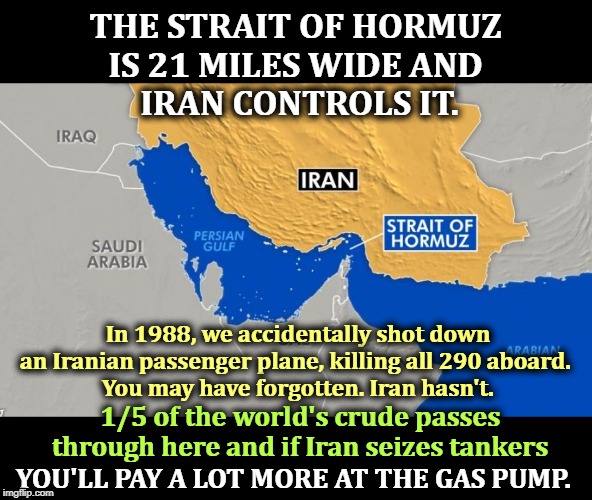 Iran deliberately missed our soldiers, but they did hit the bases. It's called sending a signal. | THE STRAIT OF HORMUZ 
IS 21 MILES WIDE AND 
IRAN CONTROLS IT. In 1988, we accidentally shot down an Iranian passenger plane, killing all 290 aboard. 
You may have forgotten. Iran hasn't. 1/5 of the world's crude passes through here and if Iran seizes tankers; YOU'LL PAY A LOT MORE AT THE GAS PUMP. | image tagged in the strait of hormuz - 1/5 of the world's crude oil,iran,war,revenge | made w/ Imgflip meme maker