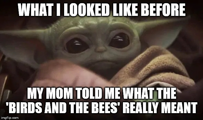 Baby Yoda | WHAT I LOOKED LIKE BEFORE; MY MOM TOLD ME WHAT THE 'BIRDS AND THE BEES' REALLY MEANT | image tagged in baby yoda | made w/ Imgflip meme maker