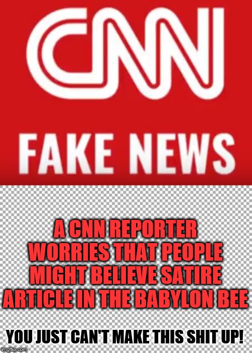 But, he isn't worried that someone might believe Fake CNN stories! | A CNN REPORTER WORRIES THAT PEOPLE MIGHT BELIEVE SATIRE ARTICLE IN THE BABYLON BEE; YOU JUST CAN'T MAKE THIS SHIT UP! | image tagged in free,cnn fake news,memes,political memes | made w/ Imgflip meme maker