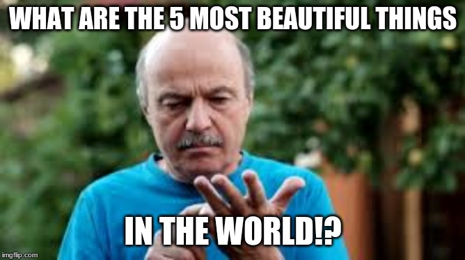 FIve most BEAUTIFUL things | WHAT ARE THE 5 MOST BEAUTIFUL THINGS; IN THE WORLD!? | image tagged in memes,old man | made w/ Imgflip meme maker