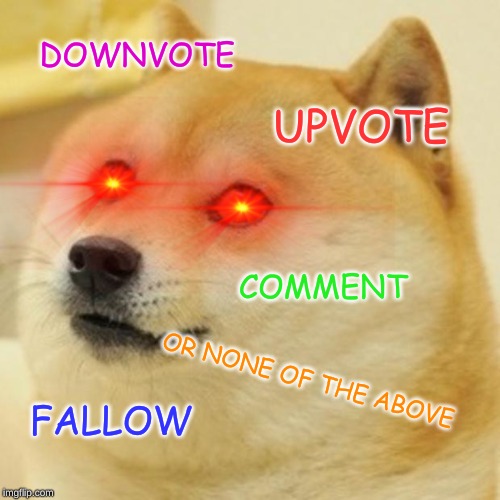 Doge | DOWNVOTE; UPVOTE; COMMENT; OR NONE OF THE ABOVE; FALLOW | image tagged in memes,doge | made w/ Imgflip meme maker