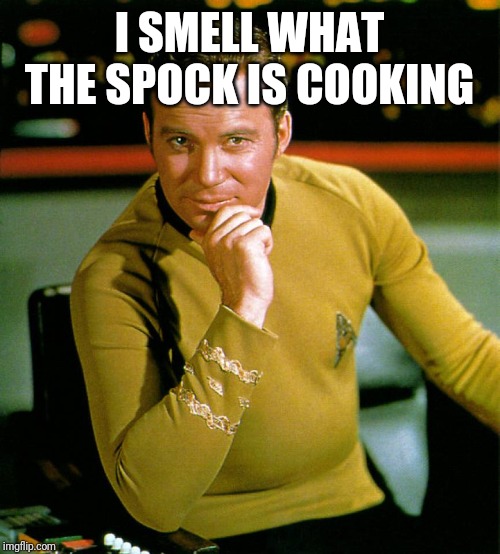 captain kirk | I SMELL WHAT THE SPOCK IS COOKING | image tagged in captain kirk | made w/ Imgflip meme maker