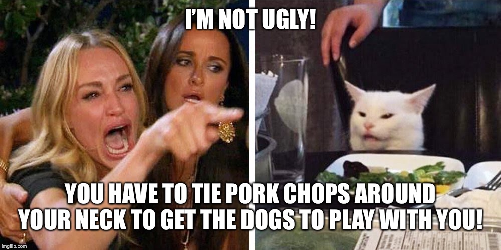 Smudge the cat | I’M NOT UGLY! YOU HAVE TO TIE PORK CHOPS AROUND YOUR NECK TO GET THE DOGS TO PLAY WITH YOU! | image tagged in smudge the cat | made w/ Imgflip meme maker