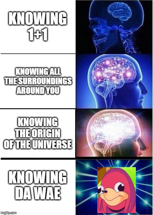 Expanding Brain Meme | KNOWING 1+1; KNOWING ALL THE SURROUNDINGS AROUND YOU; KNOWING THE ORIGIN OF THE UNIVERSE; KNOWING DA WAE | image tagged in memes,expanding brain | made w/ Imgflip meme maker