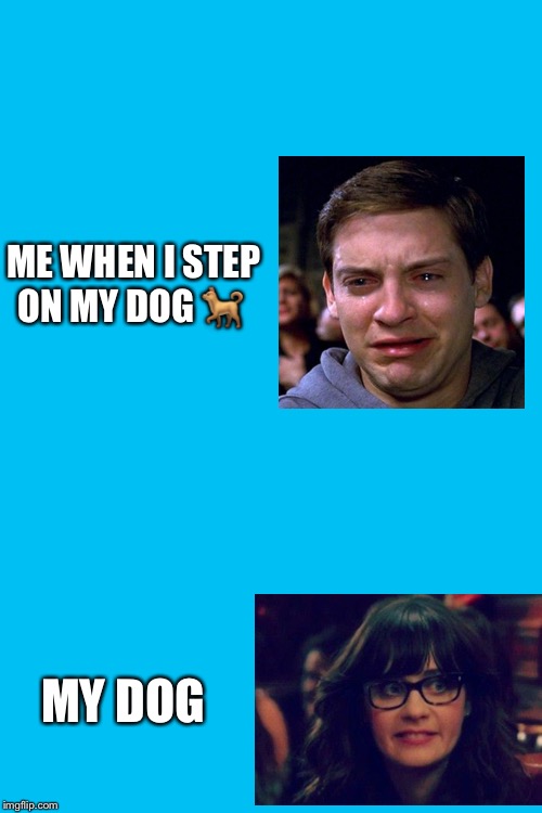 I sorry doggo | ME WHEN I STEP ON MY DOG 🐕; MY DOG | image tagged in memes,blank transparent square | made w/ Imgflip meme maker