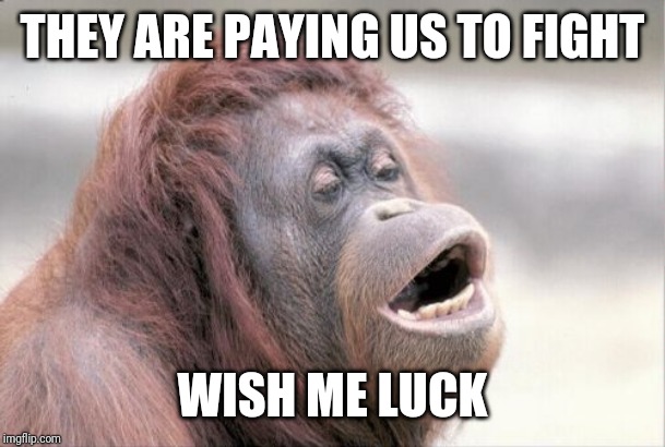 Monkey OOH Meme | THEY ARE PAYING US TO FIGHT WISH ME LUCK | image tagged in memes,monkey ooh | made w/ Imgflip meme maker