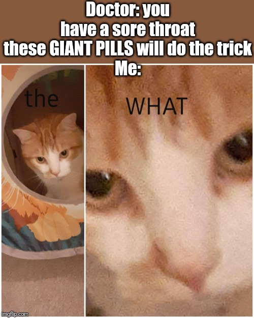The WHAT cat | Doctor: you have a sore throat these GIANT PILLS will do the trick
Me: | image tagged in the what cat | made w/ Imgflip meme maker